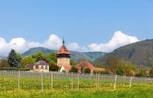 Geilweilerhof Institute for Grape Breeding