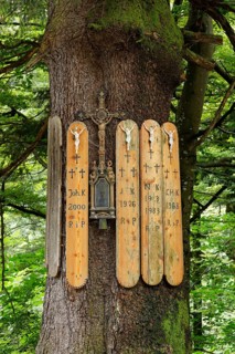 Traditional dead boards on the Kreuzfichte spruce tree