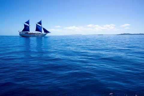Diving sailing ship PALAU SIREN