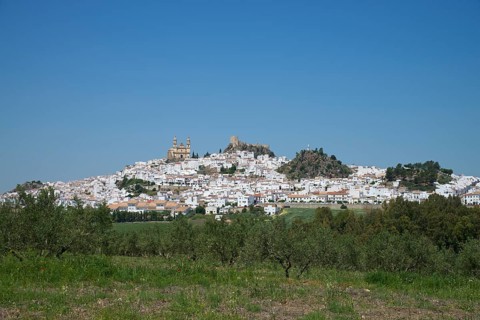 Olvera with the Nuestra Senora de la Encarnacion church and a Moorish castle