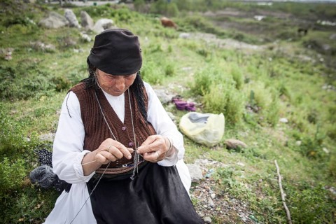 Herdswoman on the field