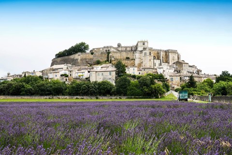 Town view with palace