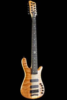 Warwick electric bass