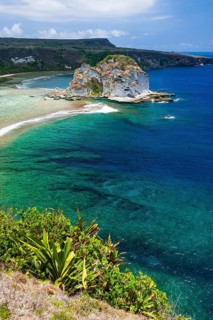 Bird Island