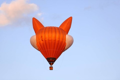Hot air balloon