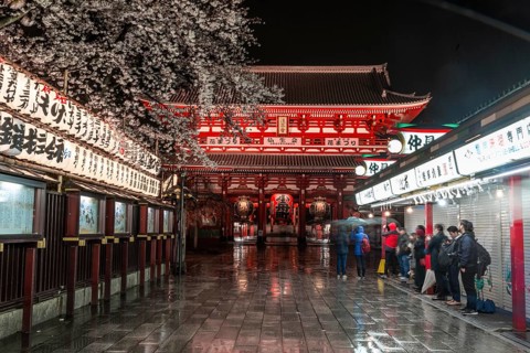 Night shot