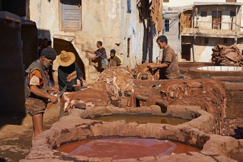 Traditional tannery with dying vats
