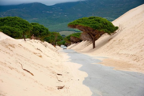 Wandering dune of Bolonia