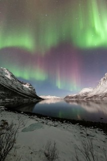 Aurora over the Grotfjord