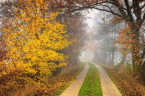 Autumnal view of Marschbahndamm road