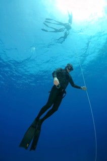 Freediving in the Red Sea