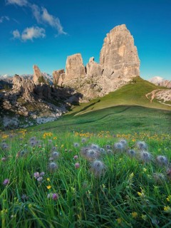 Cinque Torri with blue sky and a meadow with flowers in the foreground