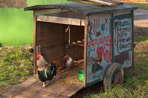 Painted trailer used as chicken coop