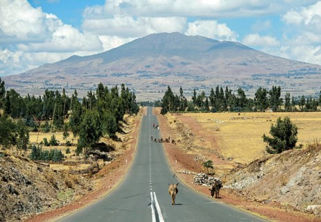 Asphalted road no. 8 between Adama