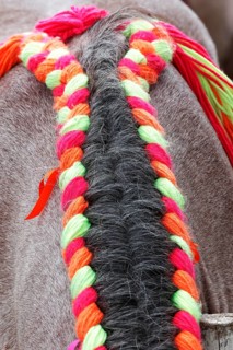 Horse's mane decorated with a woollen plait