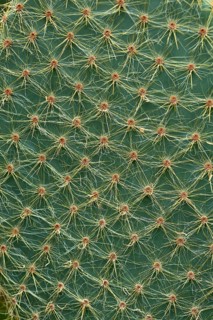 Detail view