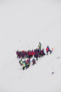 Search party