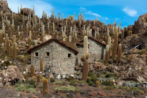 Small stone houses surrounded by cactuses