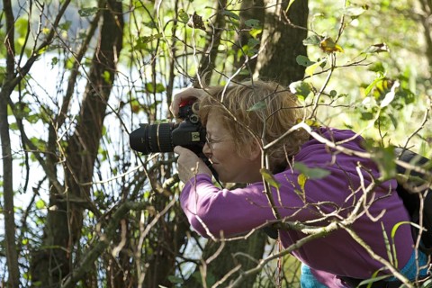 Woman taking photos