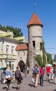 Viru gate with city walls in the old town
