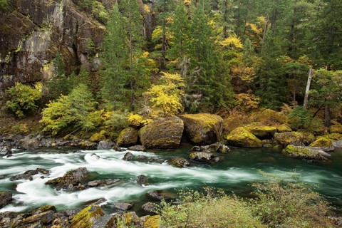 North Umqua River in autumn