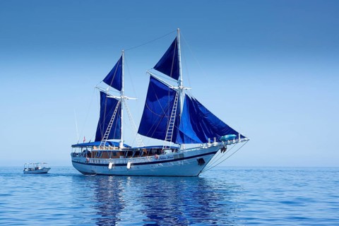 Diving sailing ship PALAU SIREN
