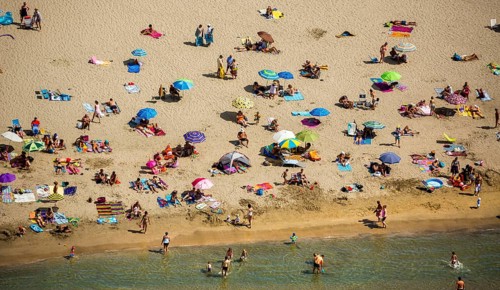 Beach with bathers