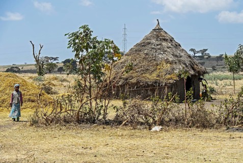 Thatched round hut of the Oromo