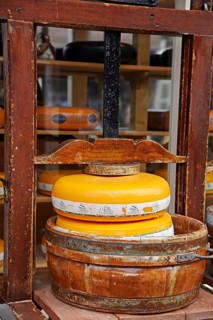 Cheese wheel in a cheese press