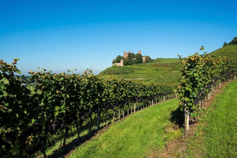 Schloss Ortenberg castle