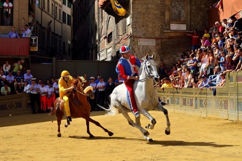 Training run of the historical horse race Palio di Siena