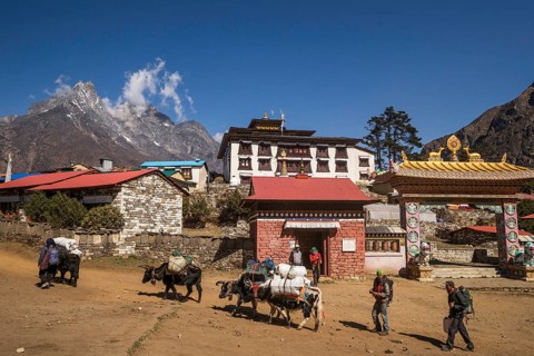 Laden yaks and Sherpas in front of the Tengboche Monastery