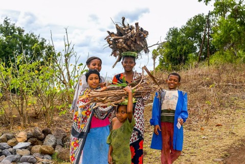 Smiling girls carrying firewood