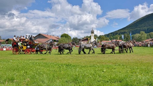 Ten-horse carriage with Noric horses from Abtenau in Salzburger Land