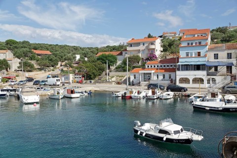 Boats in the harbour