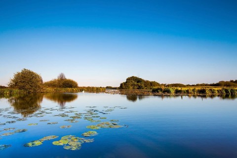 Water at Worpswede