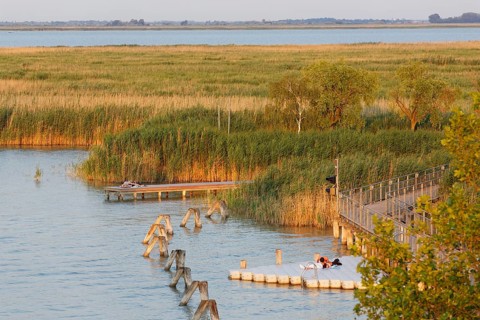 Lake Neusiedl