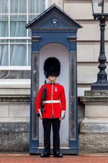 Guard of the Royal Guard with bearskin in front of Buckingham Palace