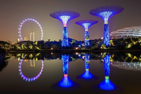 Supertrees