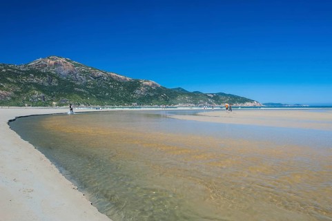 Tidal river flows into the ocean