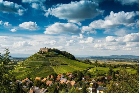 Vineyards and Staufen castle