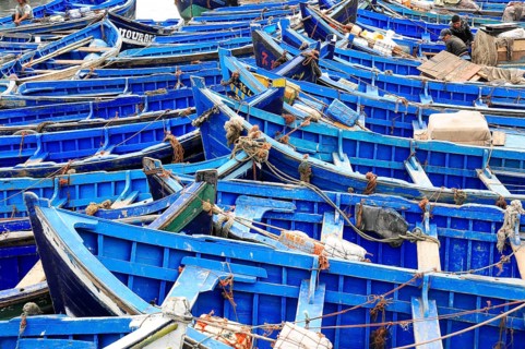 Typical blue fishing boats in the harbor of Essaouira