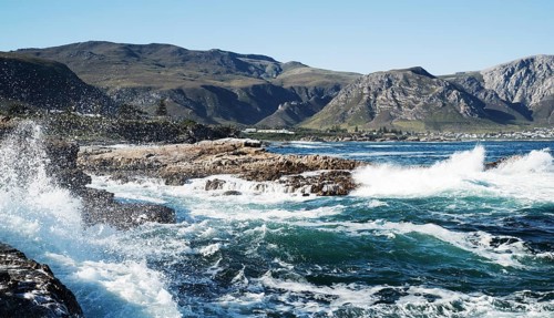 Coast of Hermanus