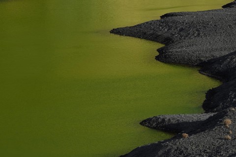 Green lagoon