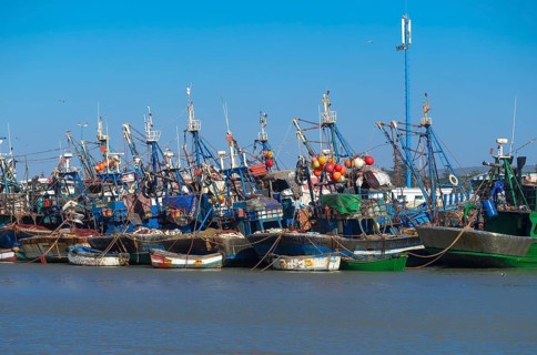 Fishing boats in the port of Essaouira