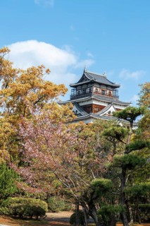 Hiroshima Castle
