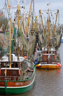 Fishing boats in the harbor