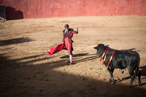 Bullfighter