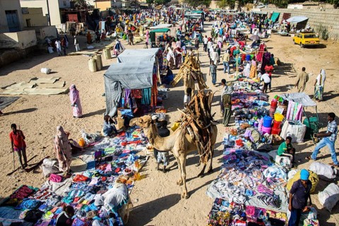 Loaded camel walking through the colourful Monday market of Keren