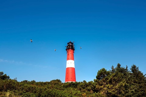 Lighthouse
